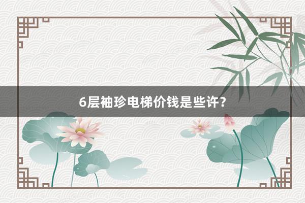 6层袖珍电梯价钱是些许？